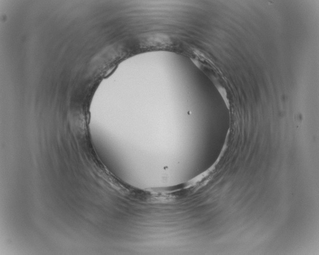 X0000070360617200607072105