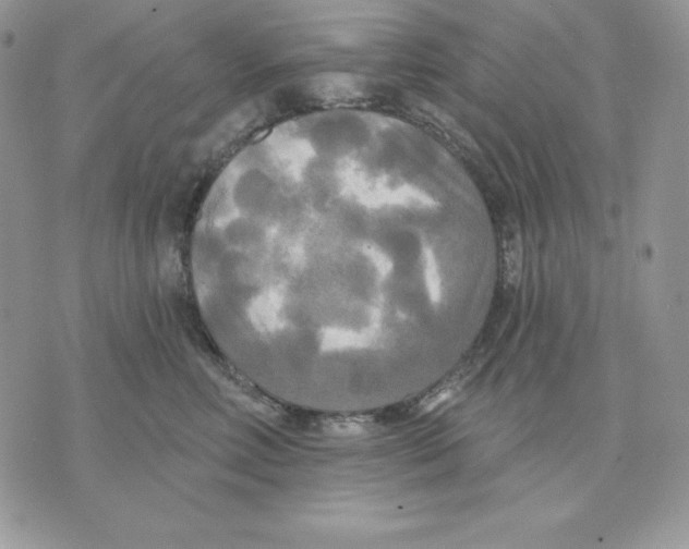 X0000070360618200607072105