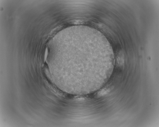 X0000070360620200607072105