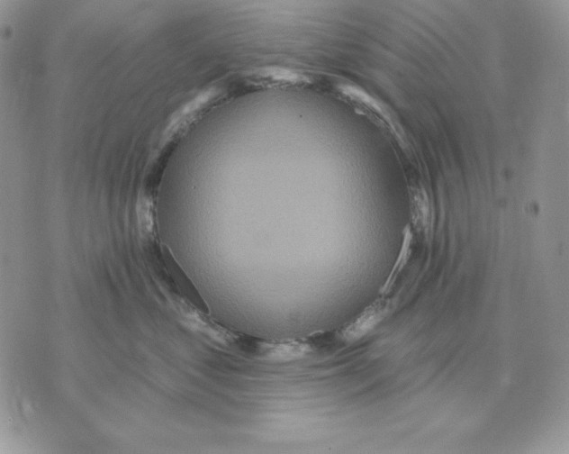 X0000070360621200607072105