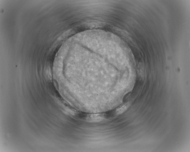 X0000070360622200607072105