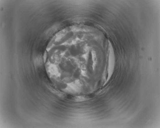 X0000070360623200607072105