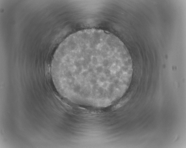 X0000070360624200607072105