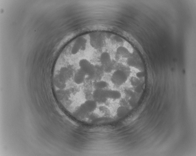 X0000070360625200607072104