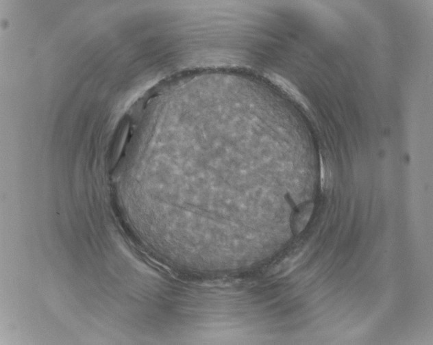 X0000070360627200607072104