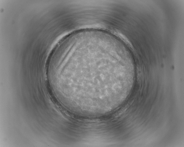 X0000070360628200607072104