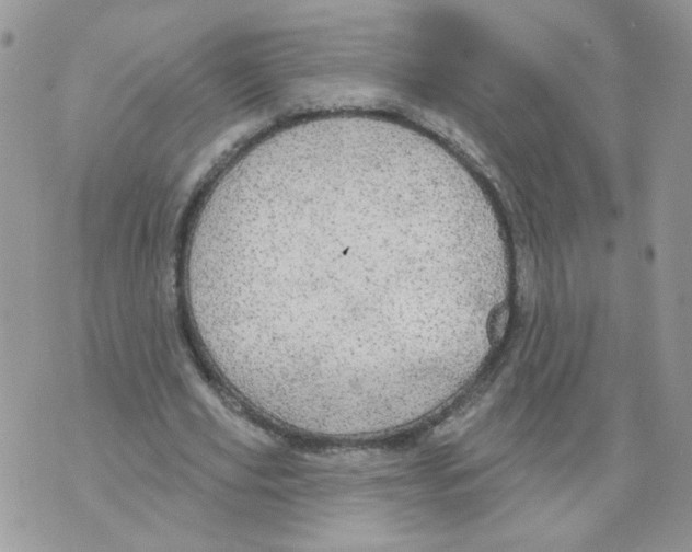 X0000070360629200607072104