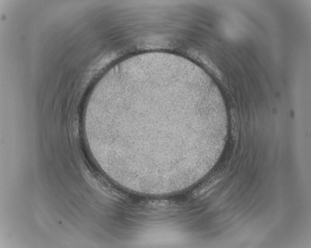 X0000070360631200607072104