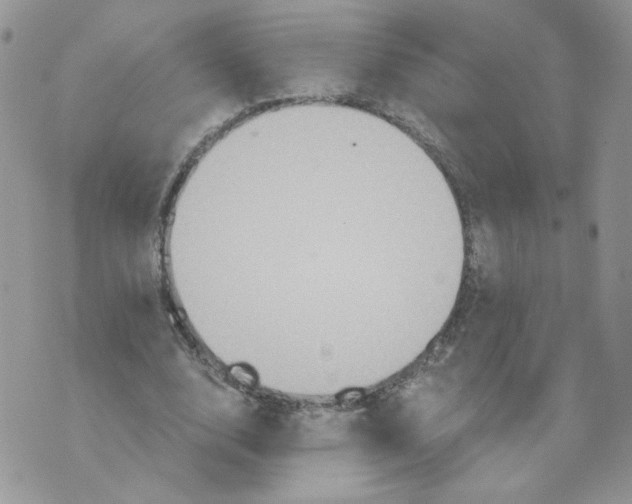 X0000070360632200607072104