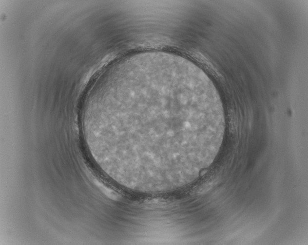 X0000070360634200607072104