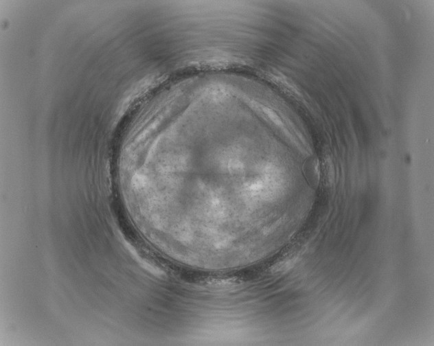 X0000070360638200607072104