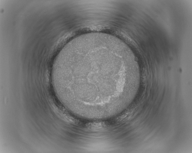 X0000070360639200607072104