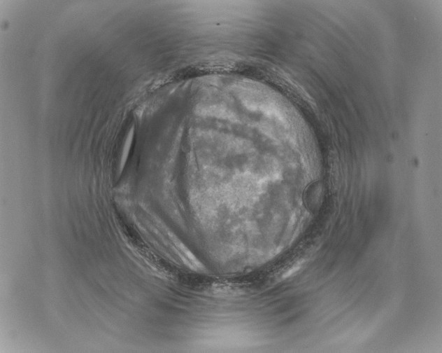 X0000070360641200607072104