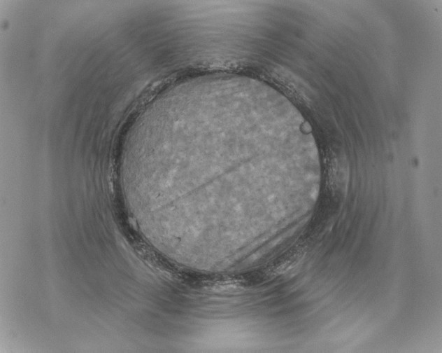 X0000070360643200607072104