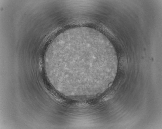 X0000070360644200607072104