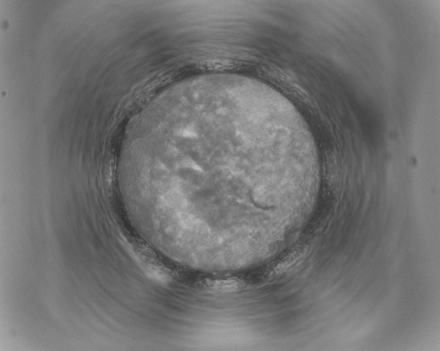 X0000070360645200607072104