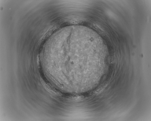 X0000070360646200607072104