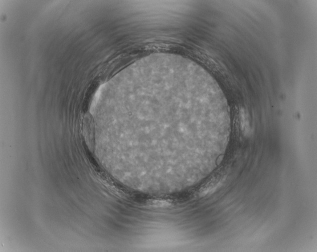 X0000070360649200607072104