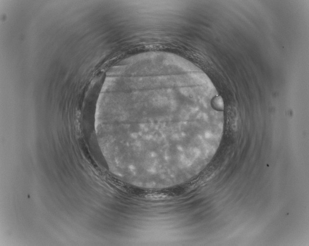 X0000070360650200607072104