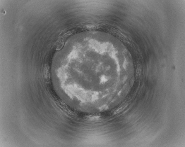 X0000070360651200607072104