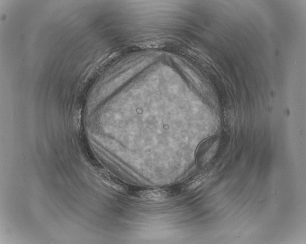 X0000070360652200607072104