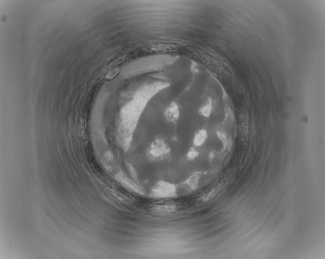 X0000070360653200607072104