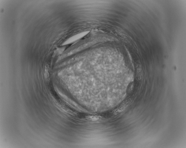 X0000070360654200607072104