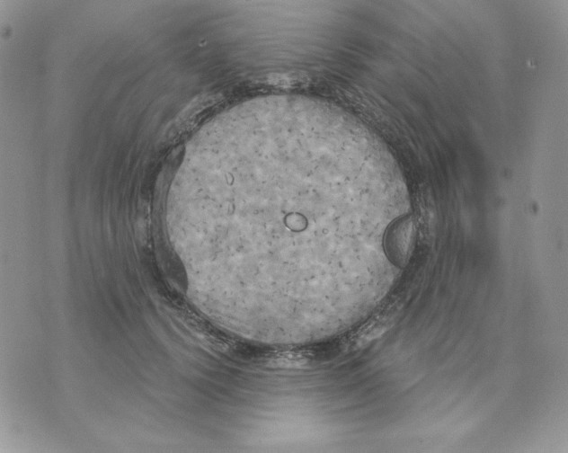 X0000070360656200607072104