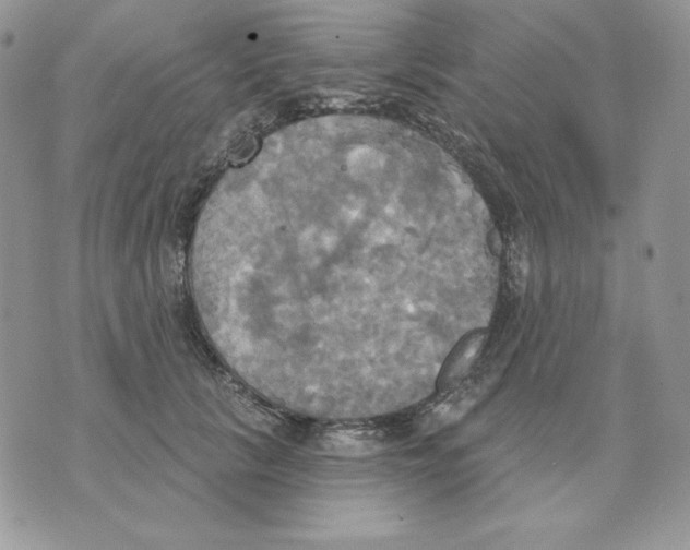 X0000070360657200607072104