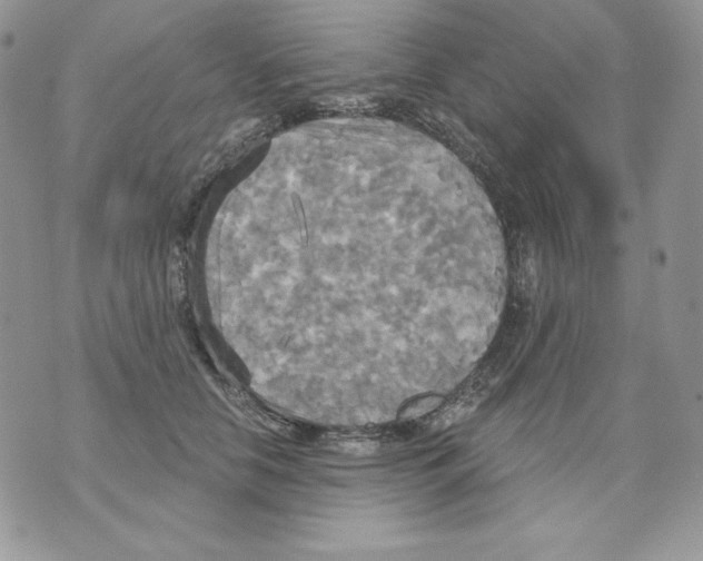 X0000070360658200607072104