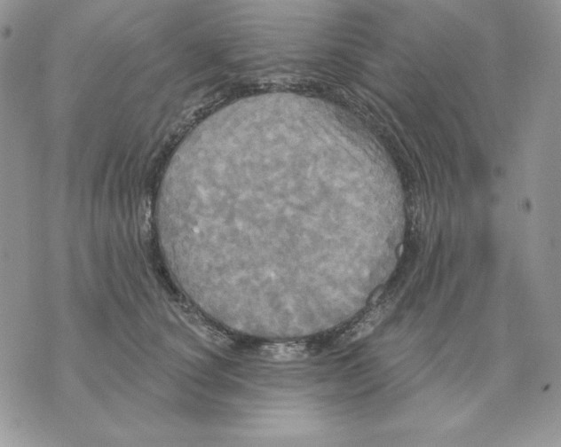 X0000070360660200607072104