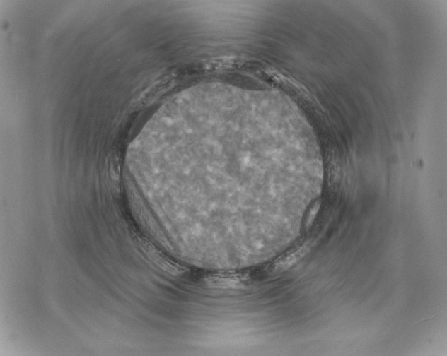 X0000070360661200607072104