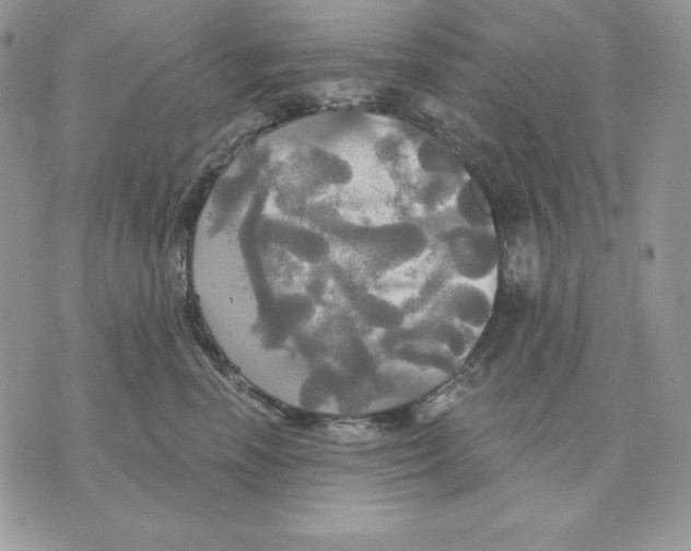 X0000070360666200607072104