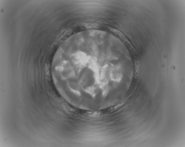 X0000070360667200607072104