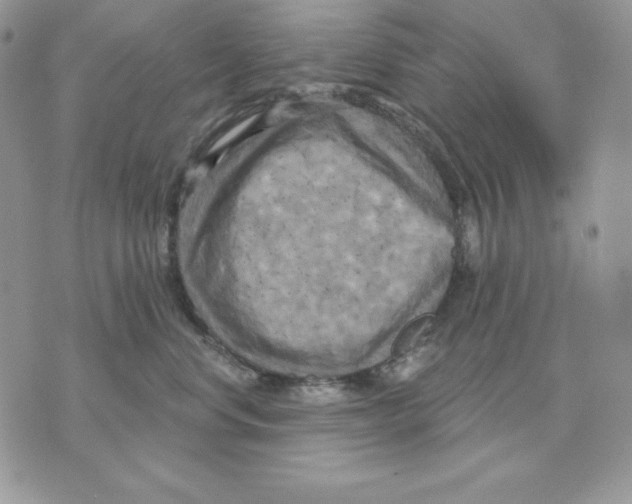 X0000070360668200607072104