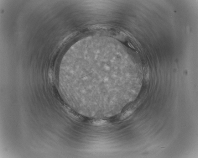 X0000070360669200607072104