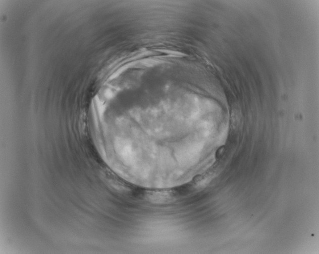 X0000070360671200607072104