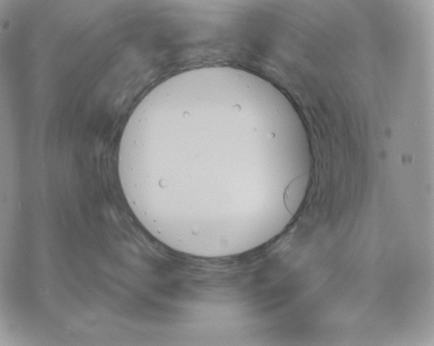 X0000070360672200607072104