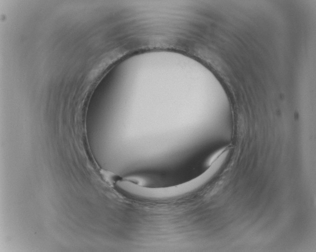 X0000070360673200607072104