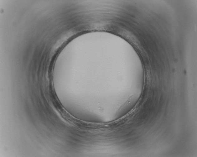 X0000070360674200607072104