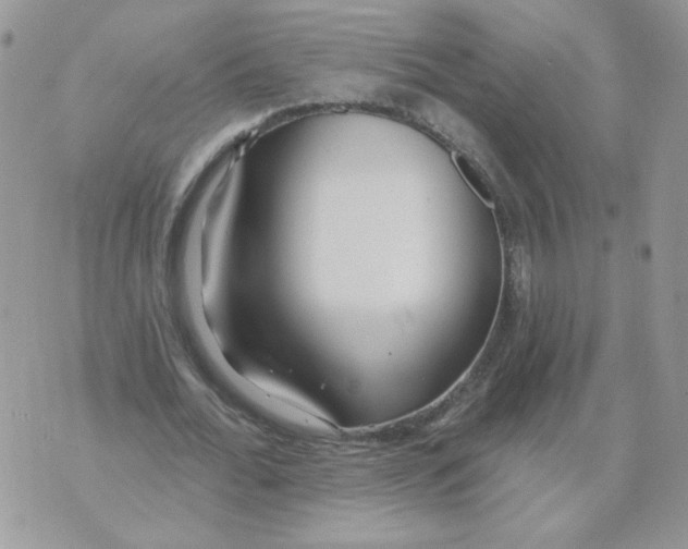 X0000070360676200607072104