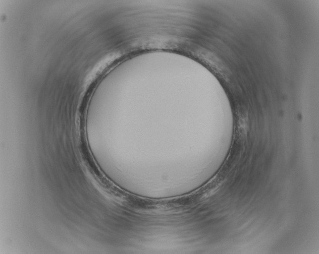 X0000070360678200607072104