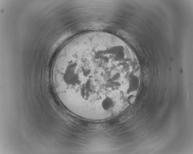 X0000070360679200607072104