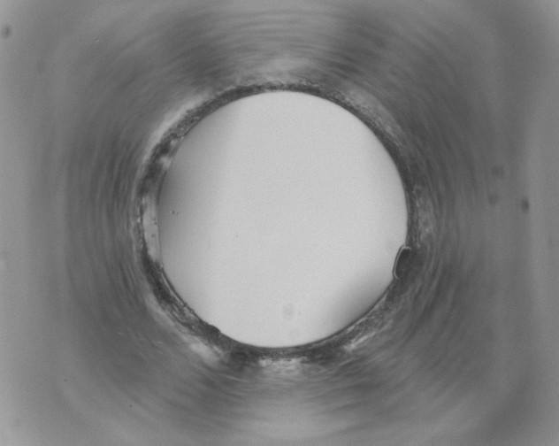 X0000070360680200607072104