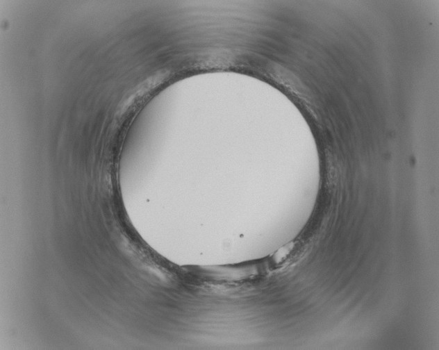 X0000070360681200607072104