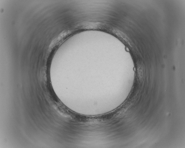 X0000070360682200607072104