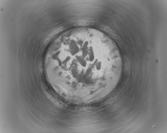 X0000070360683200607072104