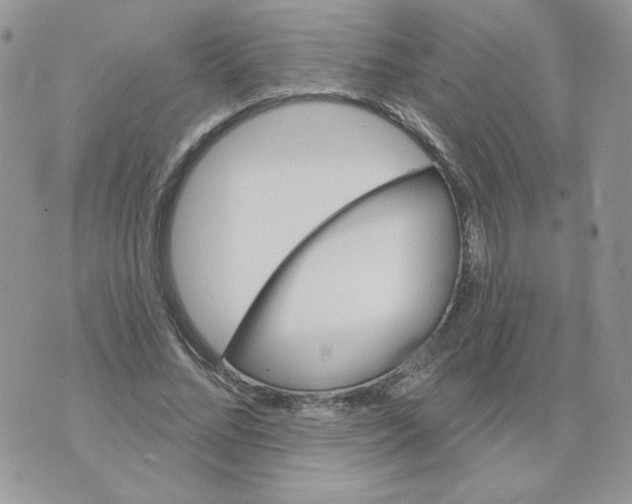 X0000070360684200607072104