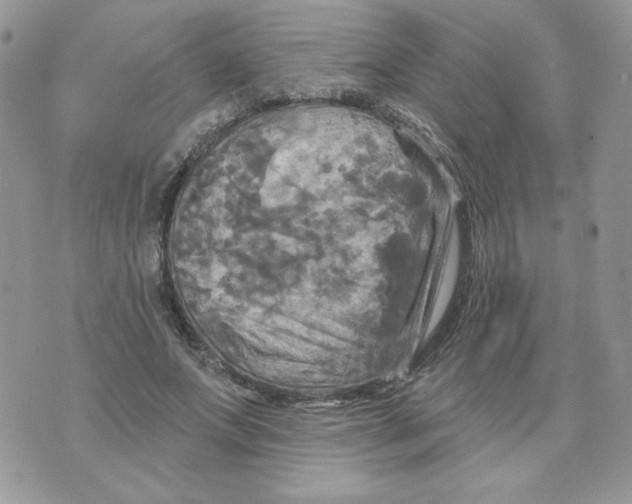 X0000070360687200607072103