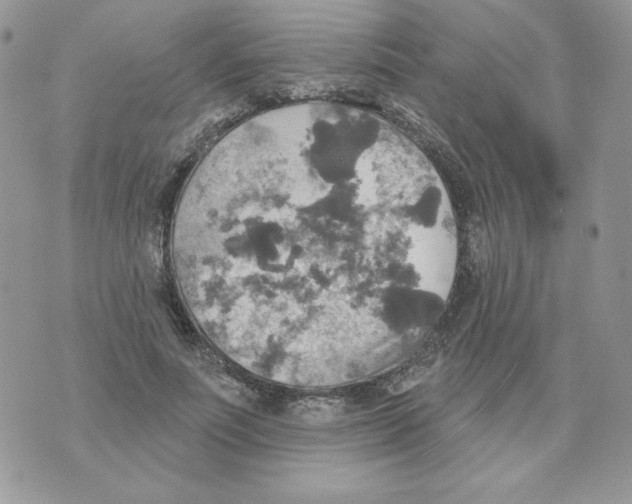 X0000070360691200607072103